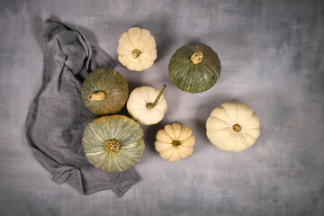Different green and white pumpkins, squashes and gourds on gray background