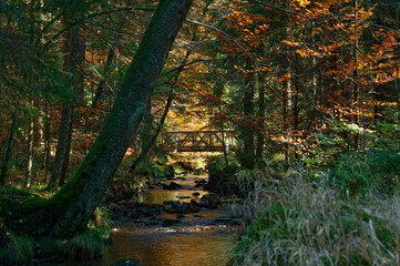 Weisser Main im Herbst, Ochsenkopf, Oberfranken