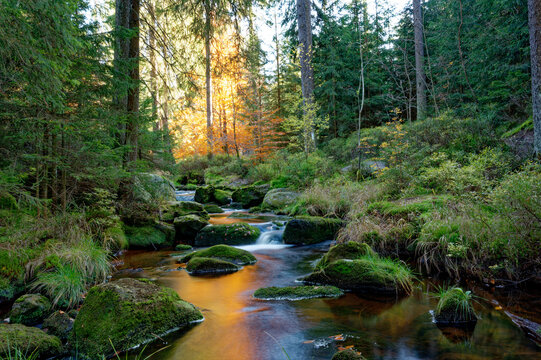Weisser Main im Herbst, Ochsenkopf, Oberfranken