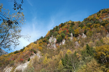 秋の紅葉した高瀬渓谷
