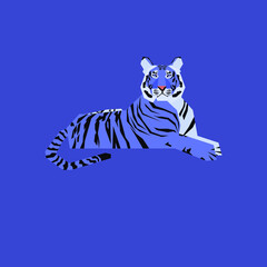 Fototapeta na wymiar Water tiger on a blue background. Blue tiger on a dark background. Tiger in 2022 Chinese New Year.