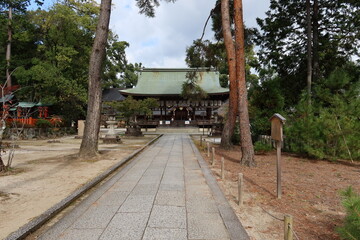  Temples and Shrines in Kyoto in Japan 日本の京都にある神社仏閣 : Hai-den Hall  in the precincts of Imamiya-jinja 今宮神社の境内にある拝殿
