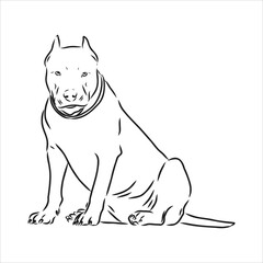 Vector sketch drawing pitbull barking pit bull terrier dog vector