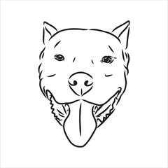 Vector sketch drawing pitbull barking pit bull terrier dog vector