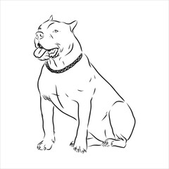 Vector sketch drawing pitbull barking pit bull terrier dog vector