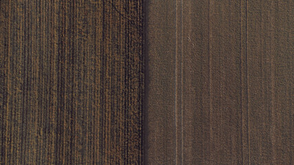 Fototapeta Aerial view of cultivated agricultural field obraz
