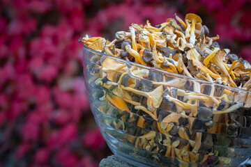Glass bowl full of wild chanterelles grises mushrooms with red ive background during the autumn in...
