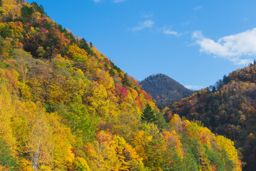 紅葉と山