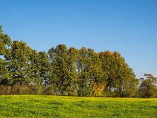 Naklejka premium Herbst