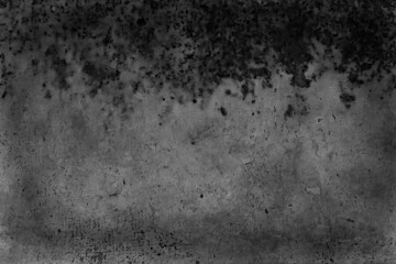 gray stucco grunge wall, abstract background gray wall blank
