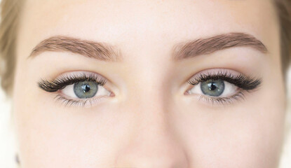 A girl with beautiful green eyes, artificial black eyelashes. Close-up of the eyes. Eyelash extensions. L-bend