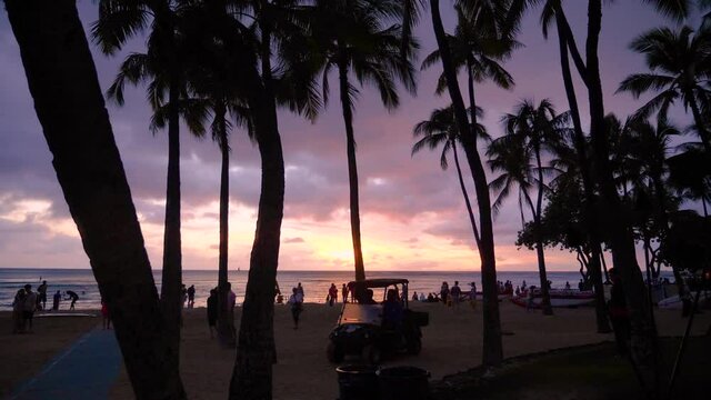 Professional 4K video of orange sunset with palm trees in Waikiki beach Honolulu, Hawaii. Waikiki beach at sunset. Silhouette of palm trees.