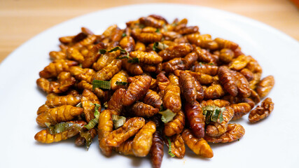 Silkworm pupa fried, street food at Thailand , Close-up Oily taste and salty silkworms