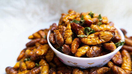 Fried pupa It is famous street food of Thailand. , Close-up Oily taste and salty silkworms. , Insect food