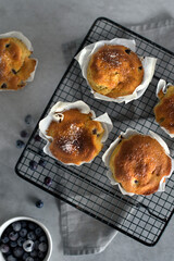 blueberries muffins on grey background