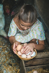 The child picks up the eggs in the chicken coop. Selective focus. © yanadjan