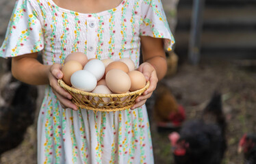 The child picks up the eggs in the chicken coop. Selective focus.