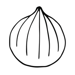 Fig vector illustration, hand drawing doodle