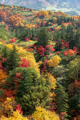 北海道秋の風景　十勝岳連峰の紅葉