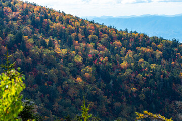 北海道秋の風景　十勝岳連峰の紅葉