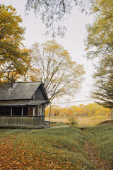 old wooden house abandoned in autumn forest. vertically, selective focus