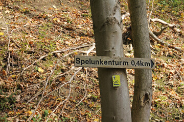 hiking in the autumn pyrmonter forest, around the Spelunkenturm
