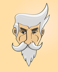 Man hairstyle grey hair and beard slim face cartoon illustration