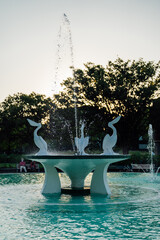 ペリカンの噴水2