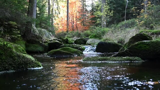 Weisser Main im Herbst, Ochsenkopf im Fichtelgebirge
