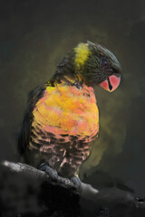 Lorikeet Oil Background