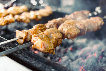 shish kebab on the grill