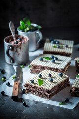 Sweet and tasty wafers with chocolate cream and blueberries