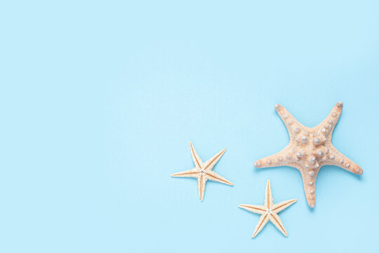 Beautiful starfishes on a blue background. Top view, flat lay.