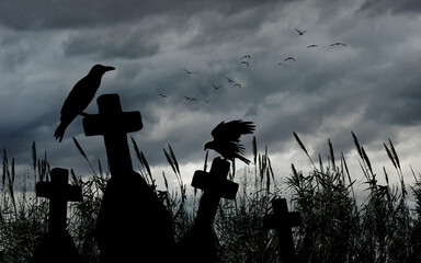 Panoramic cemetery with a raven on a cross