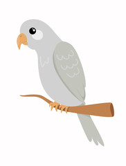 Beautiful tropical bird in scandinavian style. Vector illustration of parrot on white background