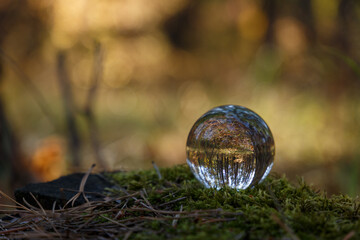 A crystal ball lies on a moss in the forest. Selective soft focus. Reflection of the forest. Environment concept. Concept and theme of nature, environmental protection. Glass material. Copy space