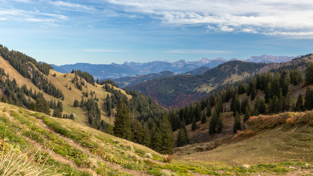 Wandergebiet beim Hochgrad in der Nagelfluhkette
