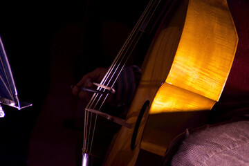 detail of the acoustic box of the double bass musical instrument