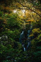 兵庫県・新温泉町のお面が滝


