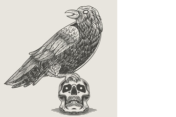 illustration vintage crow bird engraving style