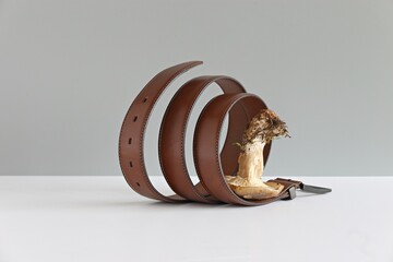 Innovative vegan leather belt made from mycelium fiber, fungal spores and plant fibers . Mushroom...