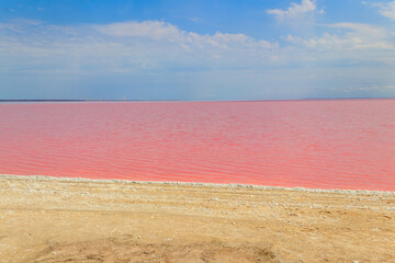 View of the pink salty Syvash lake in Kherson region, Ukraine