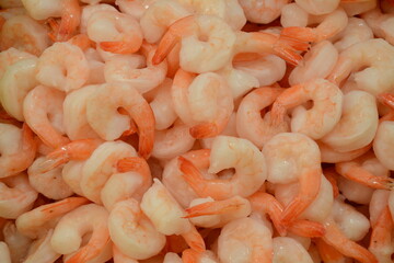 Fresh shrimps on Akko market. Akko(Acre), Israel.