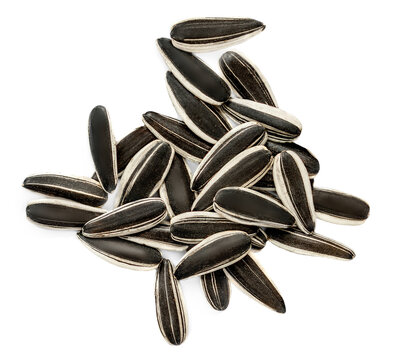 Sunflower seeds isolated on white background. Heap of Raw sunflower black seeds top view. Flat lay.
