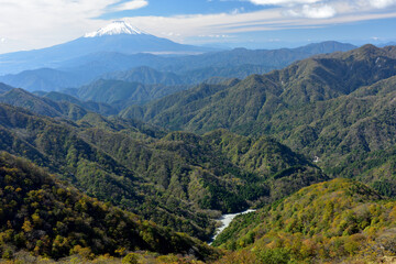 Obraz premium 富士山と紅葉（日本の秋 丹沢・塔ノ岳／鍋割山の道）