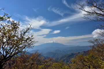 富士山と紅葉（日本の秋　丹沢・塔ノ岳／鍋割山の道）