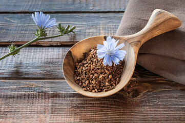Instant granules and blue flower of chicory in wooden spoon