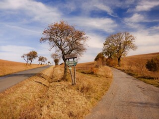  In the countryside