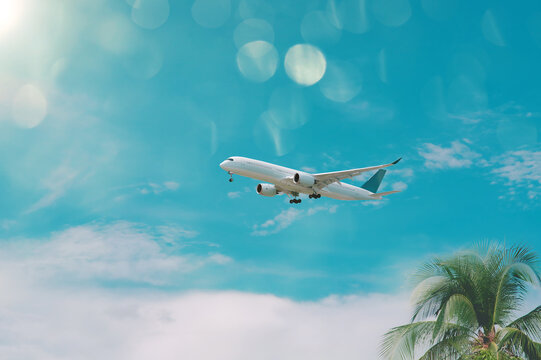 airplane flying over tropical palm trees. clear blue sky vacation time.