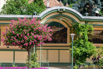 Fototapety na wymiar - Fototapeta24.pl